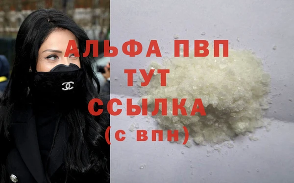 шишки Осинники