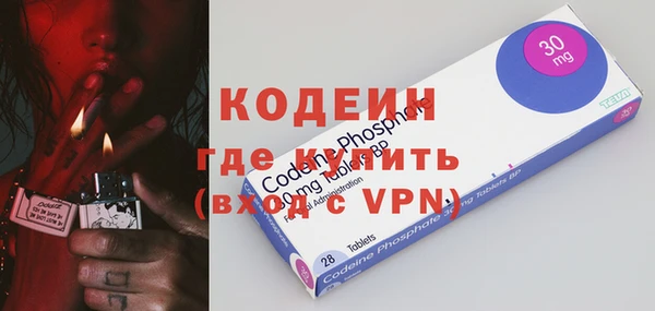 шишки Осинники