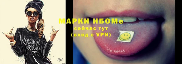 шишки Осинники