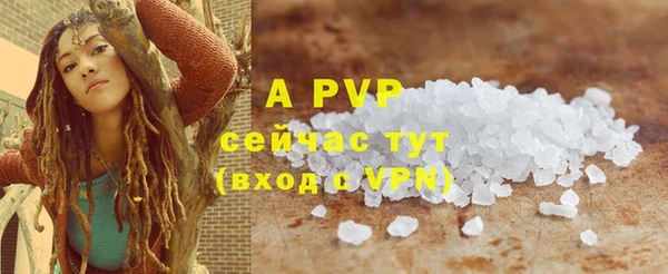 шишки Осинники
